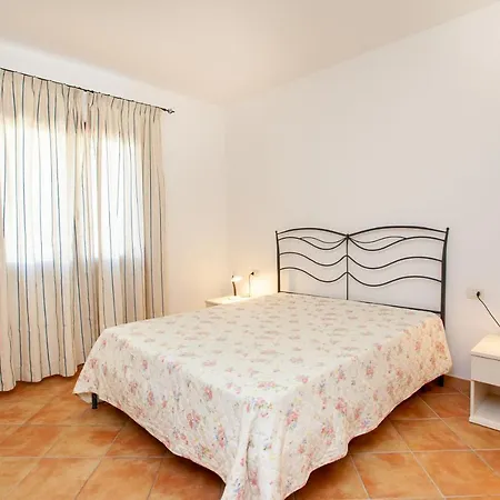 Belvedere Citai