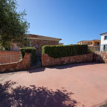 Belvedere Citai Daire *